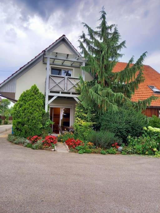 Gemuetliche Familienwohnung Ланнах Экстерьер фото